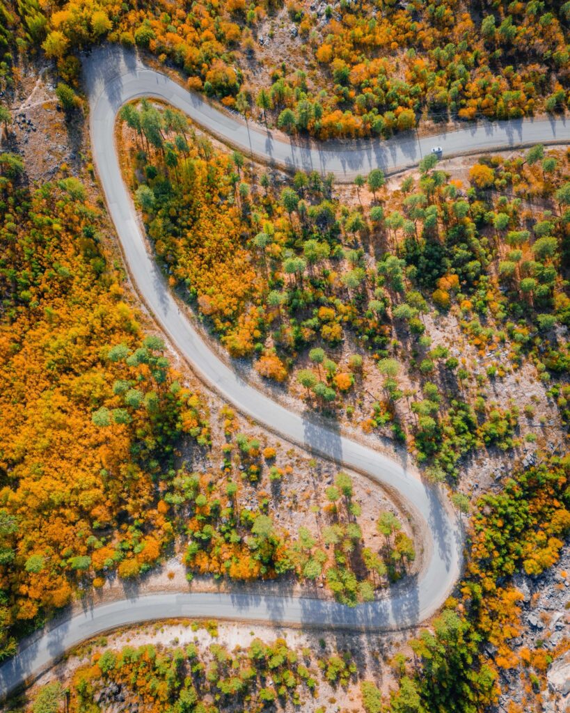 A birds eye drone shot captures a winding road surrounded by bright orange fall foliage in Penticton, British Columbia