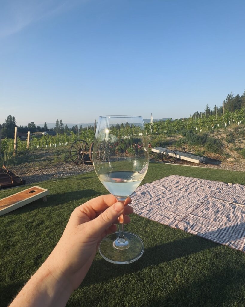 a hand holds up a wine glass in front of a vineyard in The Okanagan Valley, British Columbia