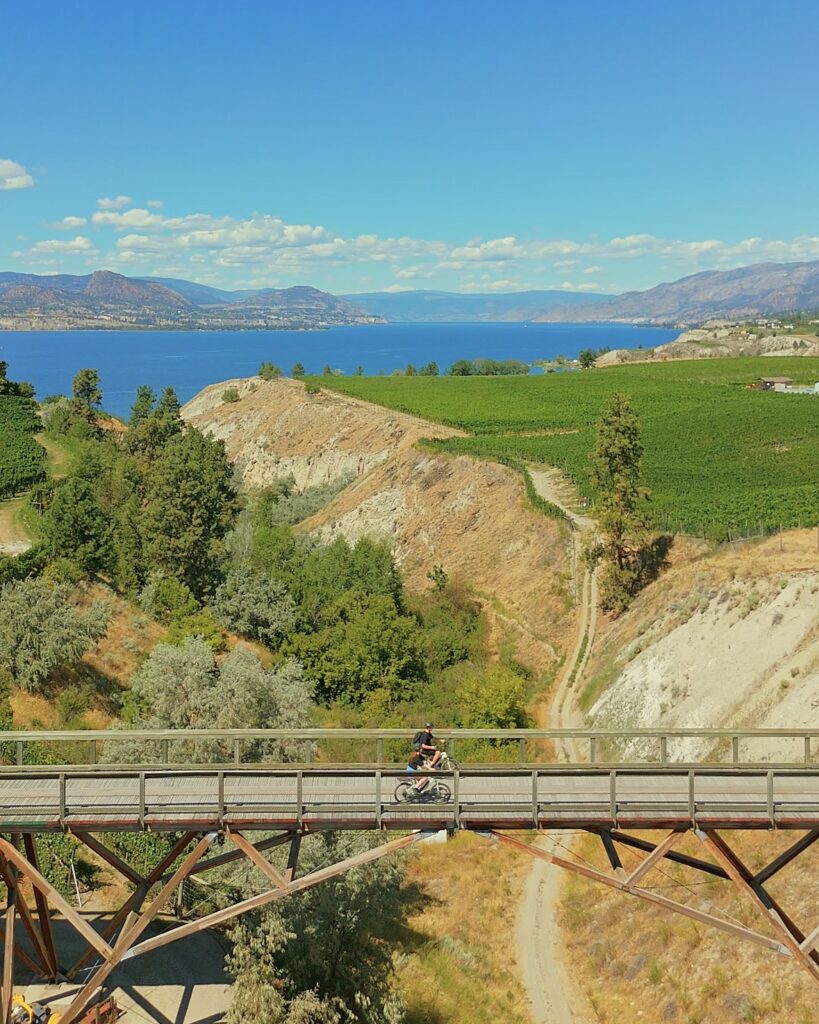 Two people bike across the KVR Trail between Penticton and Naramata, with vineyard and Okanagan lake in the background.