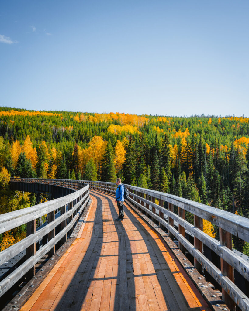 A man stands in the middle of the Myra Bellevue Trestle on the Kettle Valley Railway Trail in British Columbia. The bridge is surrounded with Fall foliage