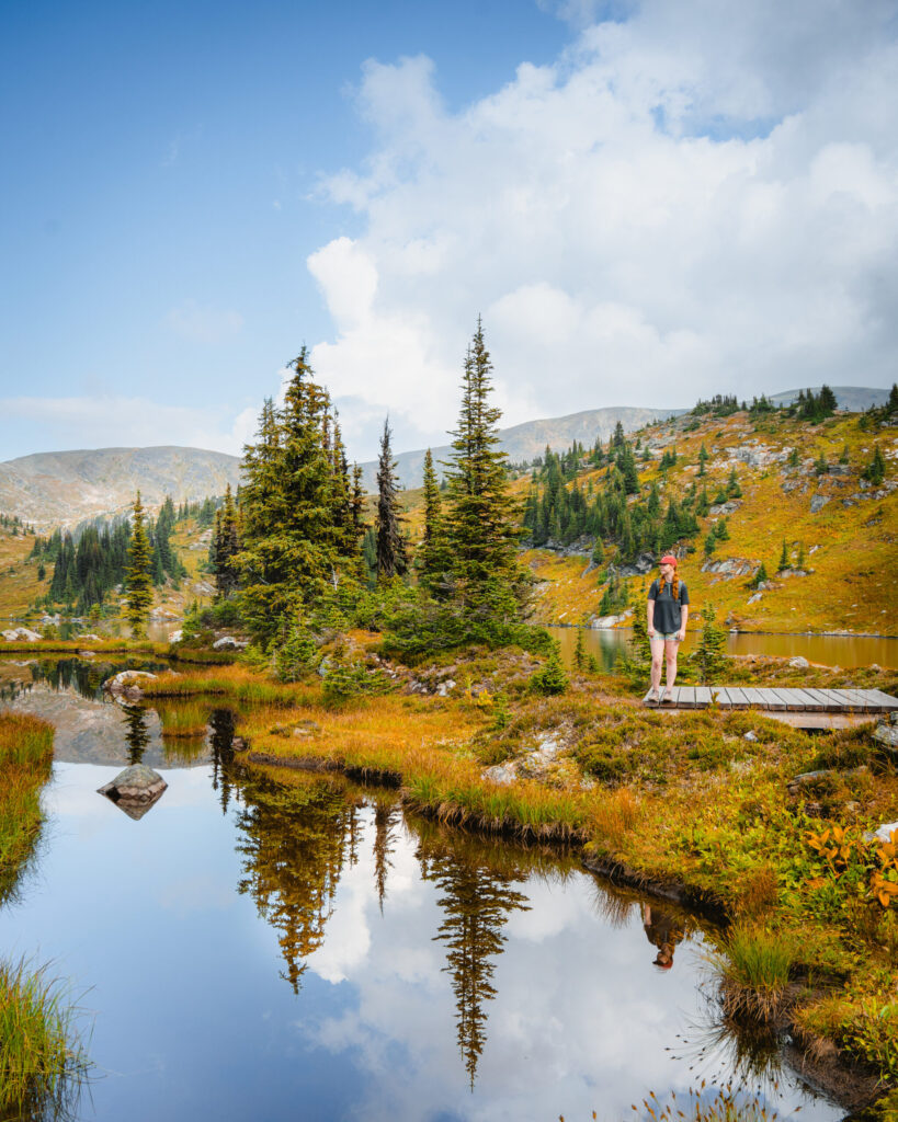 A woman stands on a camping tent pad at Trophy Mountain in Wells Gray Provincial Park, British Columbia, near Alpine Meadows Resort