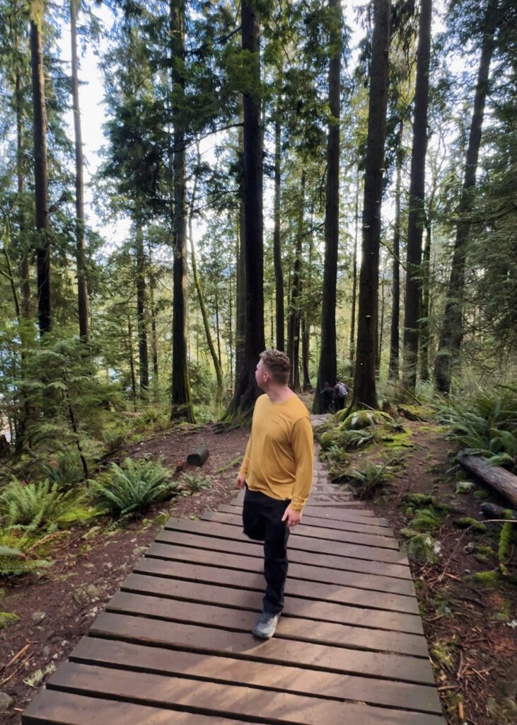 A man walks along the forested boardwalk on the Quarry Rock hike in North Vancouver 
