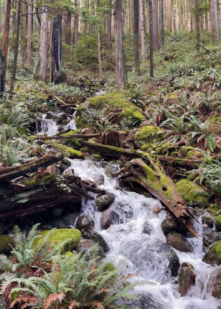 A waterfall streams down the side of a mossy mountain on the Quarry Rock hike in Deep Cove, North Vancouver